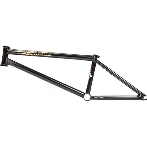 BSD RVIDXR Frame